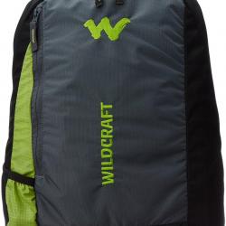 Wildcraft Streak Nylon 20 Ltrs Green Laptop Bag