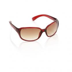 Fastrack Over-sized Sunglasses, Brown