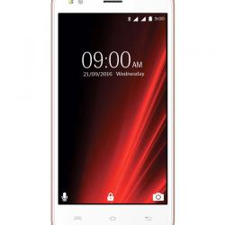 Lava X19 8GB Gold