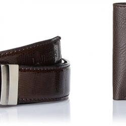 Laurels Mens Wallet And Belt Combo Brown,Brown