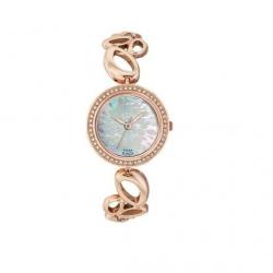 Titan 2539WM01 Raga Analog Watch